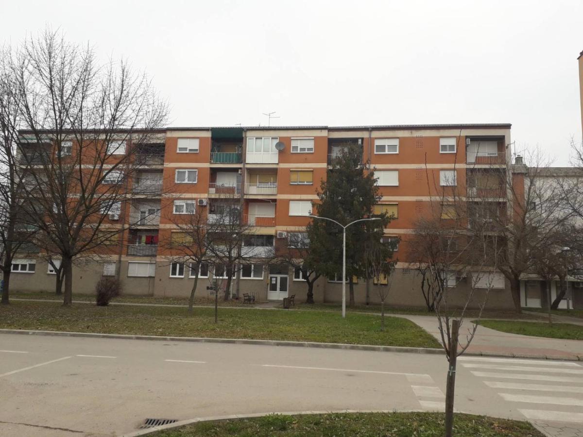 Apartman Ana Zupanja Eksteriør billede